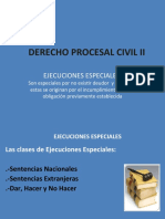 Obligaciones Especiales de Ejecuciones