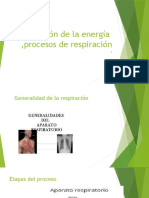 Obtención de La Energía, Procesos de Respiración L B