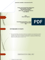 Tarea 4 - Grupo - 8 Dscripcion de Los Contenidos y Contratacion de Las PIC