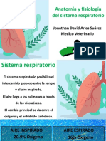 7 Anatomia y Fisiologia Del Sistema Respiratorio