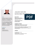 Hoja de Vida Juliandavid.