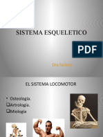 Osteologia Composicion