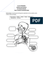 4to de Primaria - PARTES DEL APARATO RESPIRATORIO