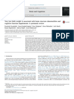 Farajdokht2017 - Very Low Birth Weight Is Associated With Brain Structure Abnormalities and Cognitive Function Impairments