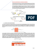 CM3 - Régulation Du Potentiel Phosphate Et Orientation Du Métabolisme