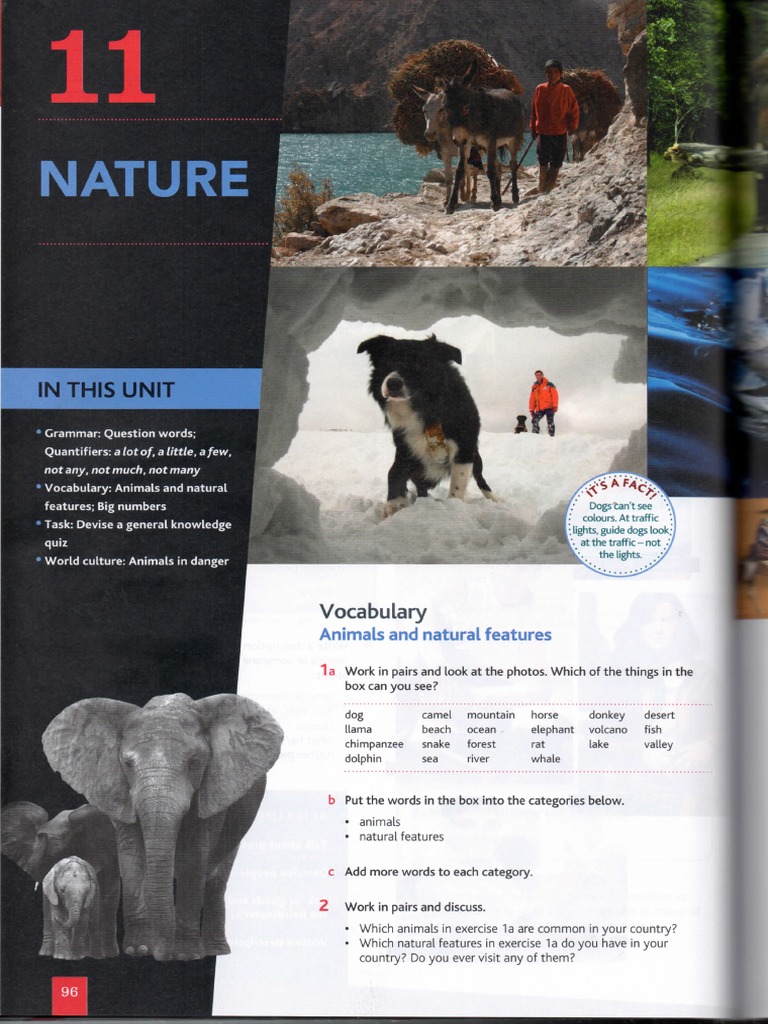 Cutting Edge Elementary Unit 11 Pdf