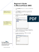 Beginner's Guide To Microsoft Excel 2002: The Dragonfly Project