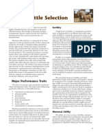 Beef Cattle Selection: Chapter 3