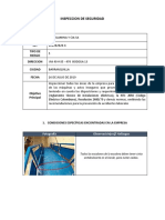 Informe de Inspeccion de Seguridad Todolamina