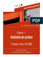 Palombi - Olivier - Anatomie de Surface