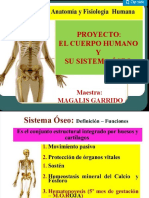 Presentacion de Los Huesos y Sus Enfermedades.