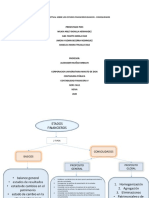 Mapa Conceptual Sobre Los Estados Financieros Basicos - Consolidados