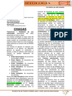 Chagas 24 08