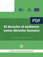 Ambiente y Derechos Humanos