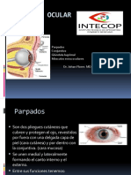 Anatomía Ocular Parpados, Lagrimas Conjuntiva y Musculos Extraoculares