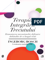 Ingeborg Bosch Terapia Integrarii Trecutului