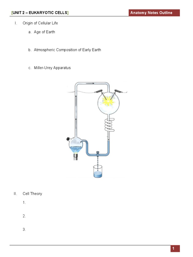 Eukaryotic Cell Structure Overview | PDF | Cell (Biology) | Cell Membrane