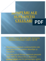 LP 4 Adaptari ale suprafetei celulare