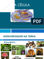 1.CELULA_estrutura_funcao