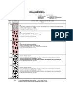 Perfil Estratigrafico