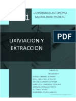 LIXIVIACION Y EXTRACCION FINAL EQUIPO 2