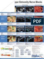 Upper Extremity Nerve Blocks: Transducer Placement Ultrasound Imaging Cross-Sectional Anatomy