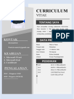 CV Versi 14