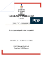 BADAC TEMPLATE - Certificate of Participation