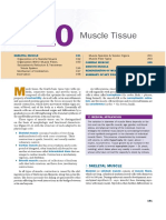 Bab Musculoskeletal