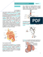 Infecciones Del Tracto Respiratorio Superior y BA