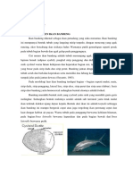 Nur Alim - L051191038 - Tugas Iktiologi Kelas C Integumen Ikan Bandeng