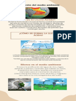 Acidificación Del Medio Ambiente