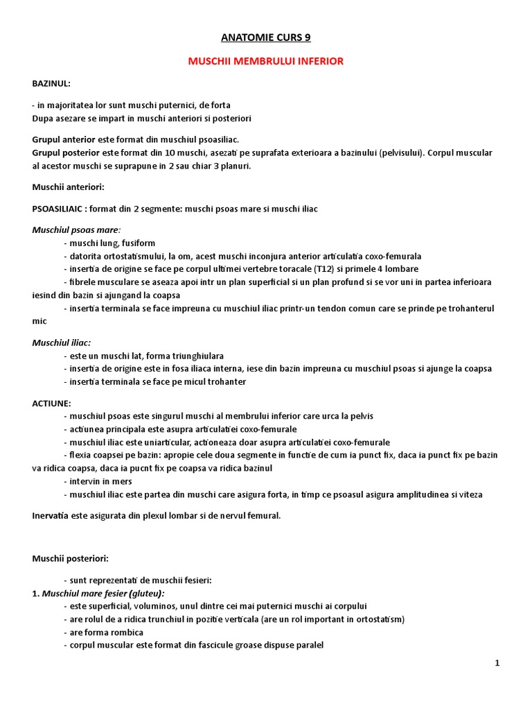 Anatomie-Curs-9 Muschii Membrului Inferior | PDF