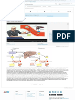 4.5.1 Video Lipid metabolism _ 4.5 Lipid metabolism _ NUTR101x Courseware _ edX