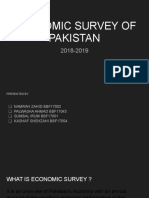 Economic Survey of Pakistan