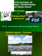 Relación entre epilepsia y discapacidad intelectual