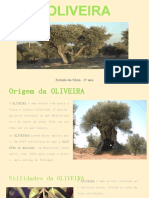 A OLIVEIRA - Estudo Do Meio - 3º Ano
