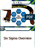 Black Belt Six Sigma Training Overview