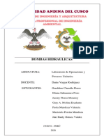 Bombas Hidraulicas - Trabajo de Operaciones Laboratorio