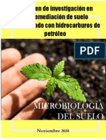 Resumen de Investigación en Biorremediación de Suelo Contaminado Con Hidrocarburos de Petróleo