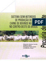 Sistema Semi-Intensivo de Producao de Carne de Bovinos Nelores No Centro-Oeste Do Brasil