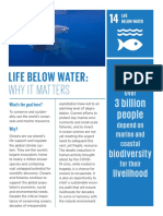 Life Below Water:: Why It Matters