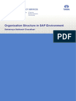 Organisation Structure in SAP Environment: Dattatraya Subhash Choudhari