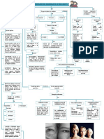 Mapa Conceptual