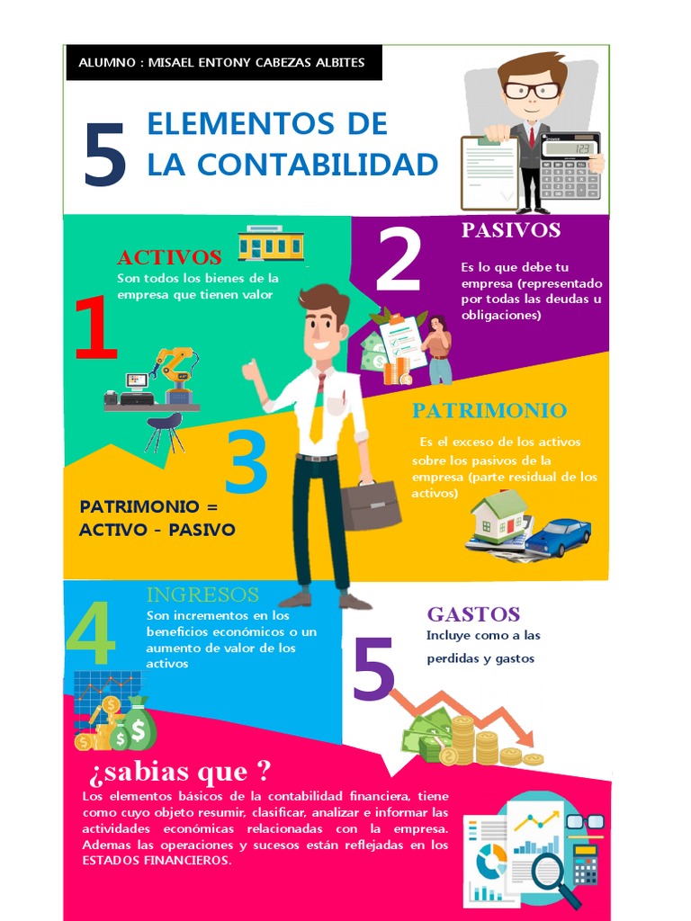 Elementos Básicos de la Contabilidad | PDF