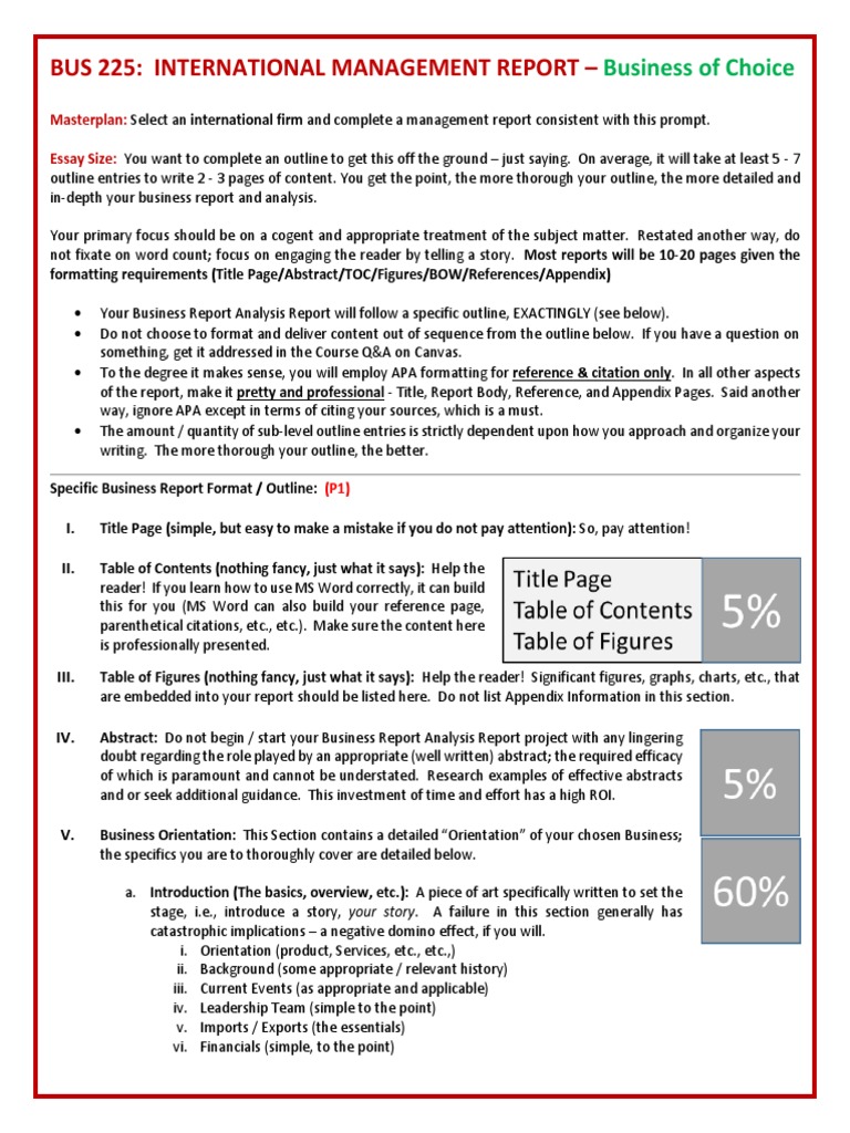 International Management Report Guide | PDF | Citation | Globalization