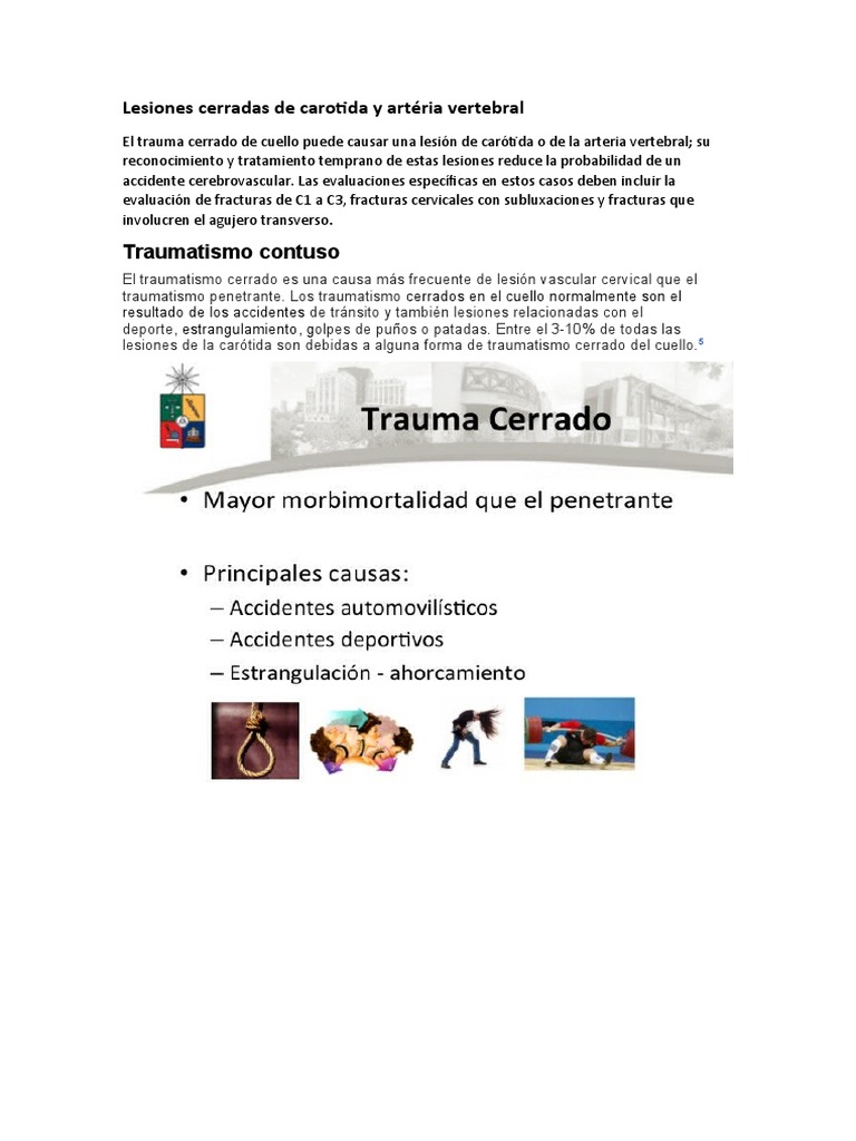 Lesiones de arteria vertebral cervical | PDF | Lesión | Vértebra