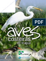 Aves Costeiras de Icapuí - 2007