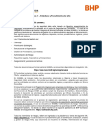 181224 Anexo3EstandaresyProcedimientosdelSitio BHP