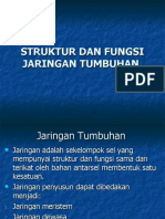 412860_407069_25496_bab 2 Struktur Dan Fungsi Jaringan Tumbuhan